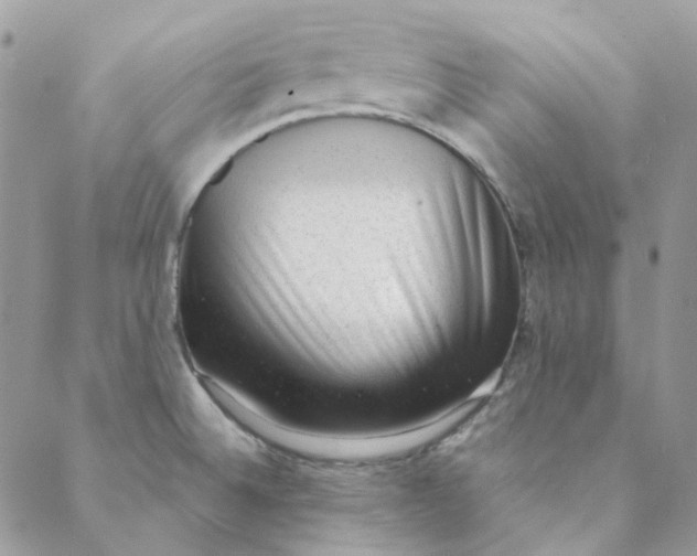 X0000088741524200706141650