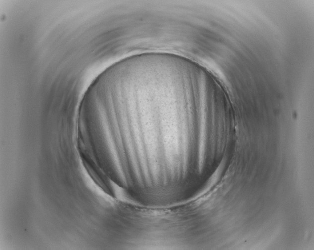X0000088741528200706141650
