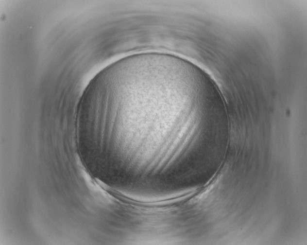 X0000088741534200706141650