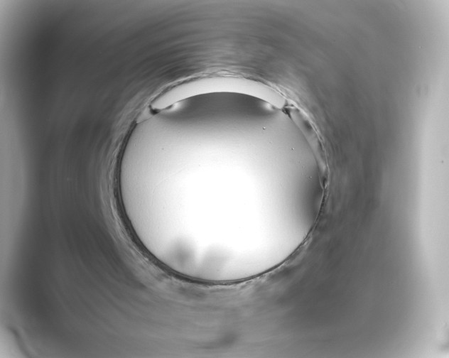 X0000088740001200706212105
