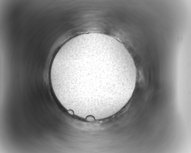 X0000088740004200706212105