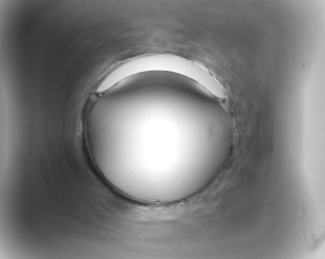 X0000088740005200706212105