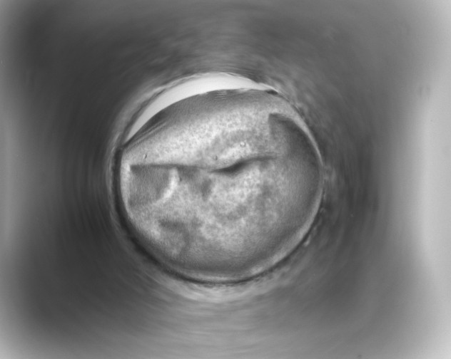 X0000088740006200706212105