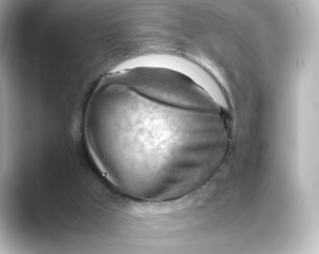 X0000088740009200706212105
