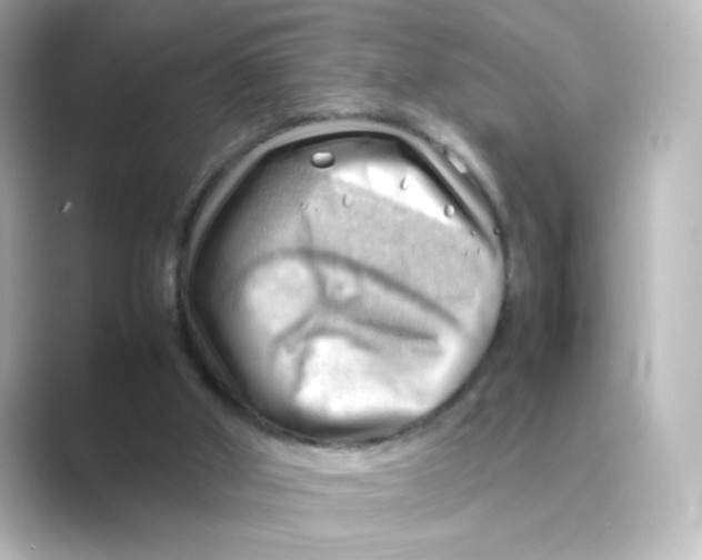 X0000088740010200706212105