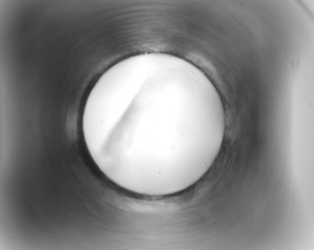 X0000088740012200706212105