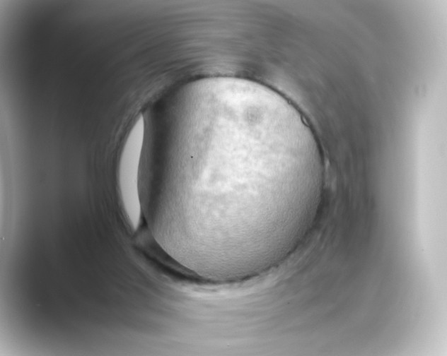 X0000088740013200706212105