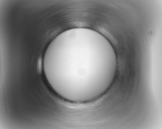 X0000088740014200706212105