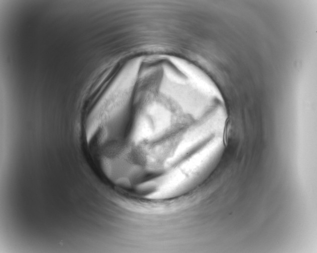 X0000088740015200706212105