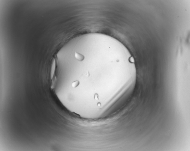 X0000088740018200706212105