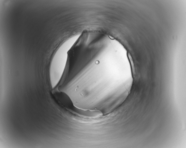 X0000088740019200706212105