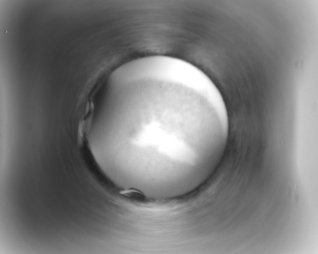 X0000088740020200706212105