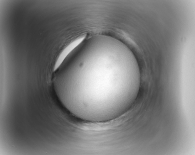 X0000088740025200706212105