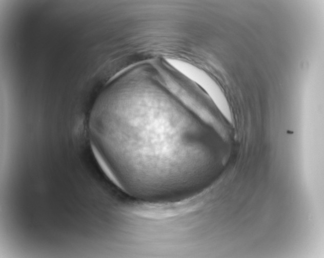 X0000088740029200706212105