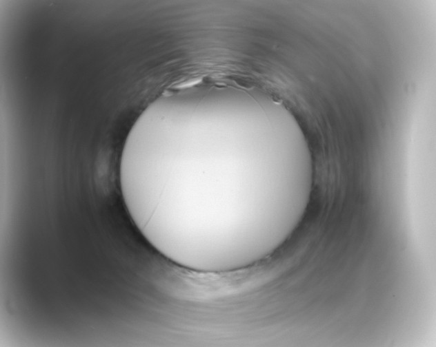 X0000088740030200706212105