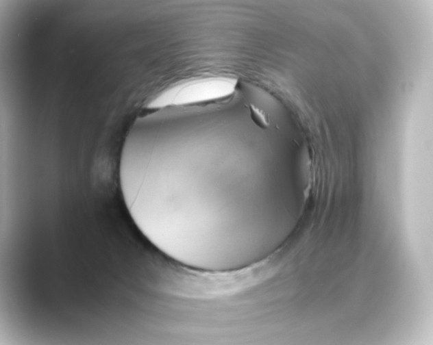 X0000088740031200706212105