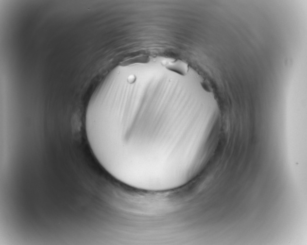 X0000088740032200706212105