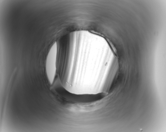 X0000088740033200706212105
