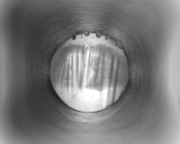X0000088740034200706212105
