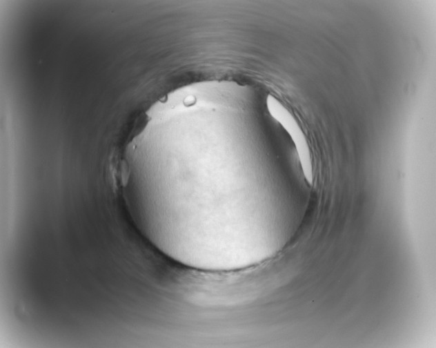 X0000088740037200706212105