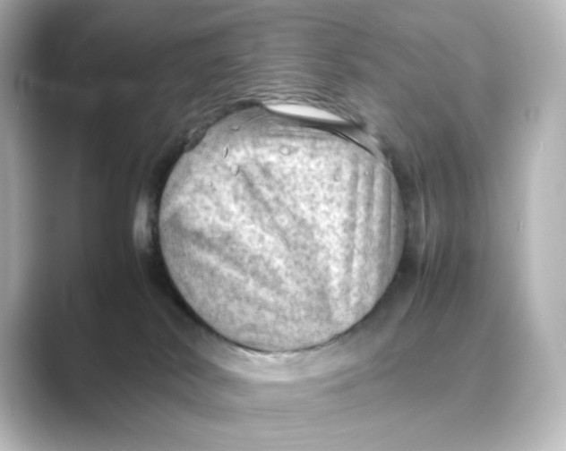 X0000088740038200706212105