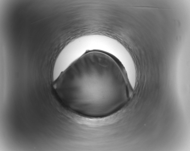 X0000088740039200706212105