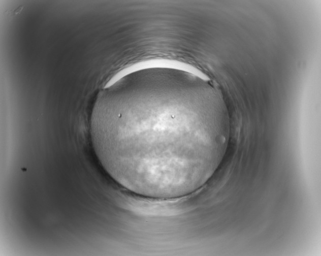 X0000088740040200706212105