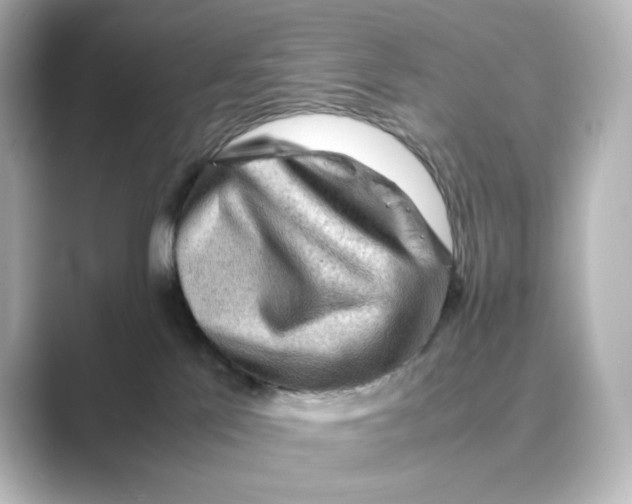 X0000088740041200706212104