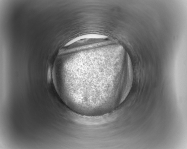 X0000088740042200706212104