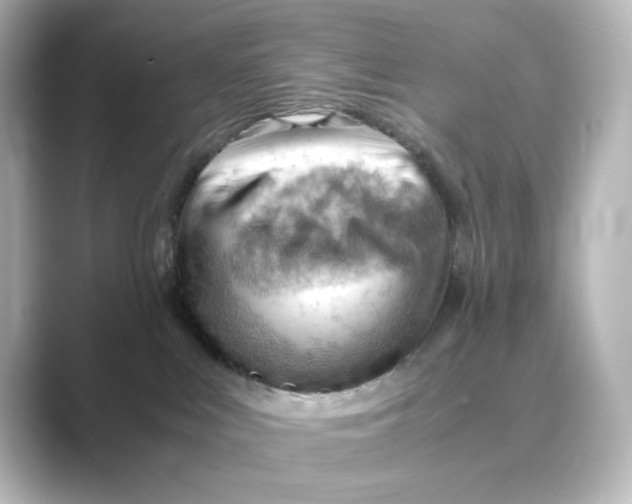 X0000088740043200706212104