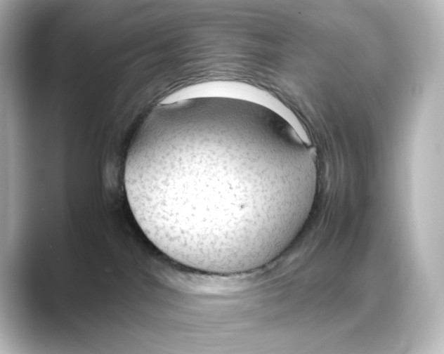 X0000088740044200706212104