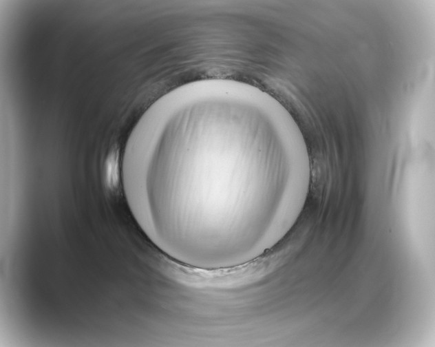 X0000088740046200706212104