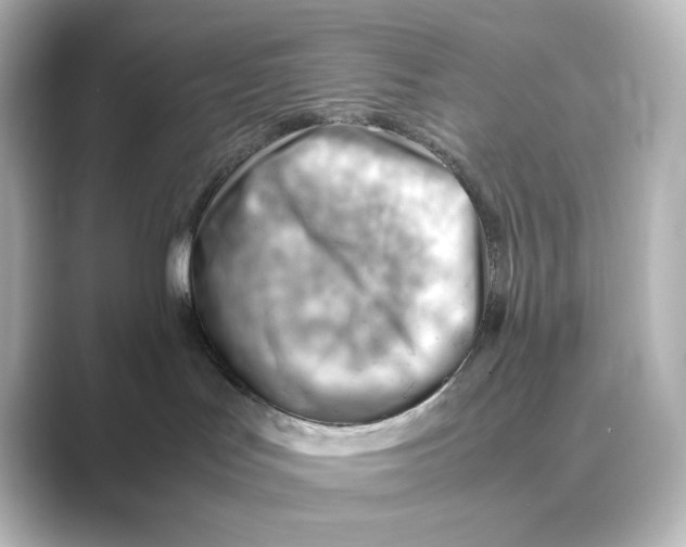 X0000088740047200706212104