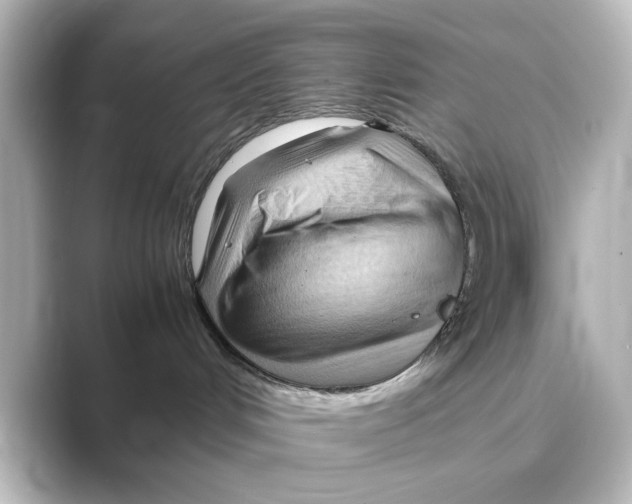 X0000088740048200706212104