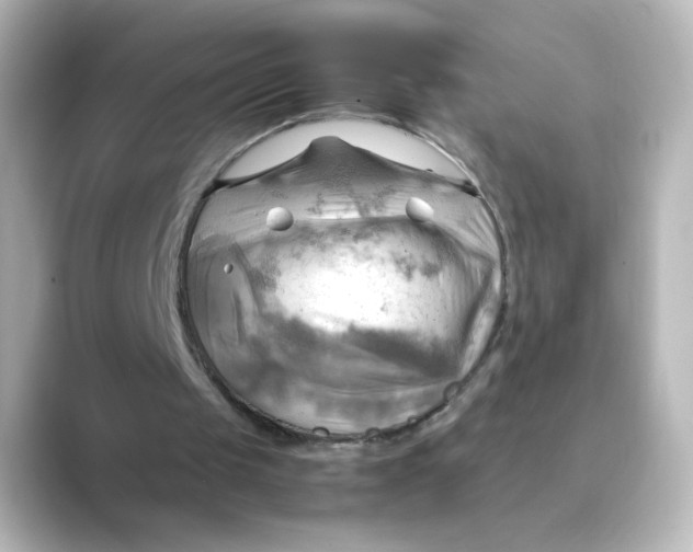 X0000088740049200706212104