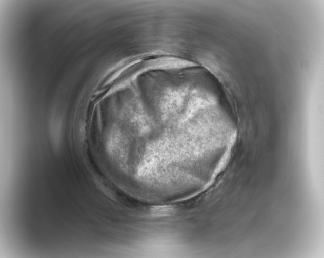 X0000088740050200706212104