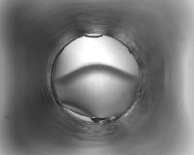 X0000088740051200706212104