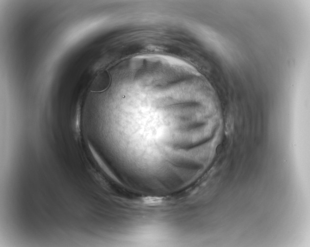 X0000088740052200706212104