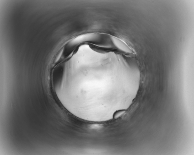 X0000088740053200706212104