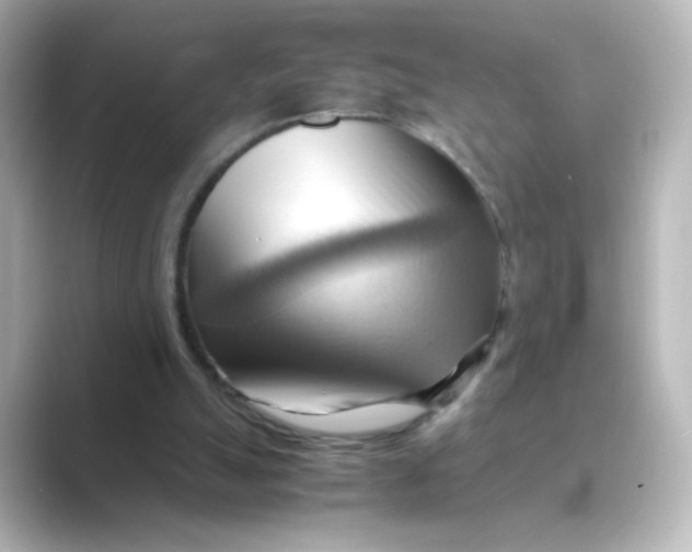 X0000088740055200706212104