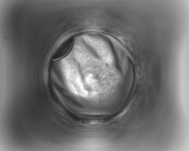X0000088740056200706212104