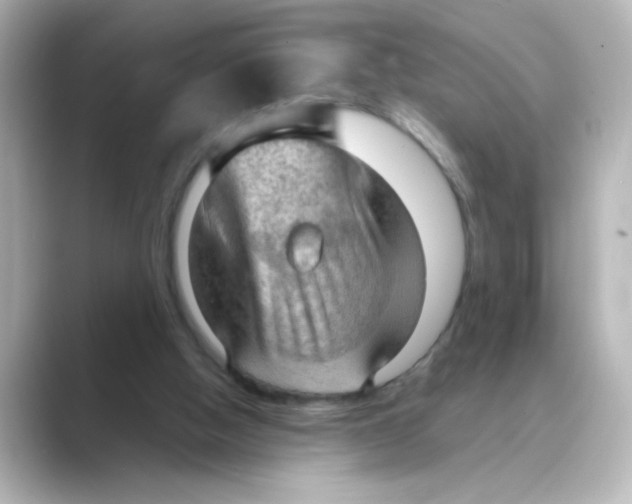 X0000088740058200706212104