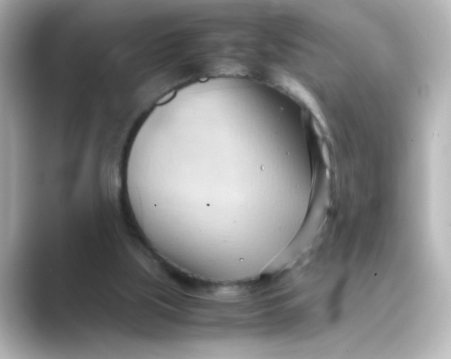 X0000088740059200706212104