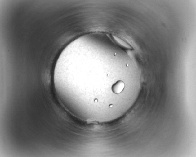 X0000088740060200706212104