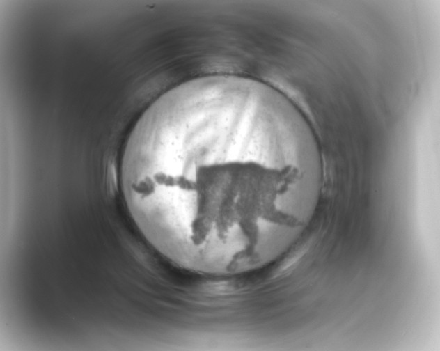 X0000088740061200706212104