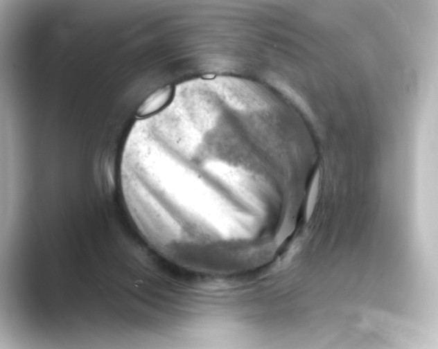 X0000088740062200706212104