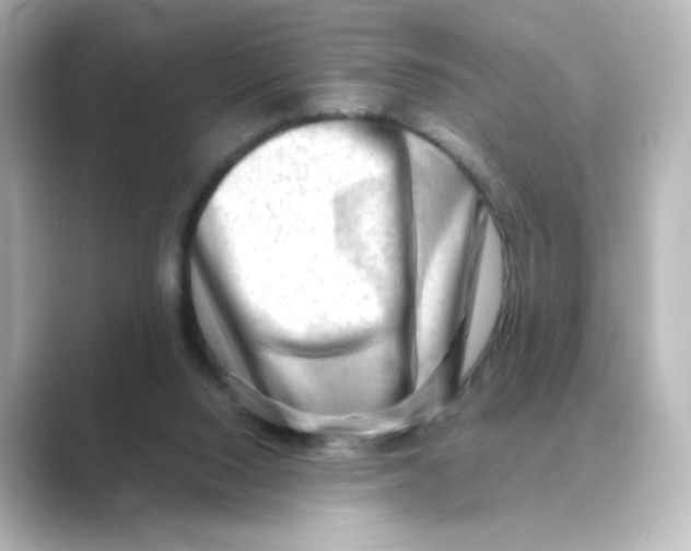 X0000088740064200706212104