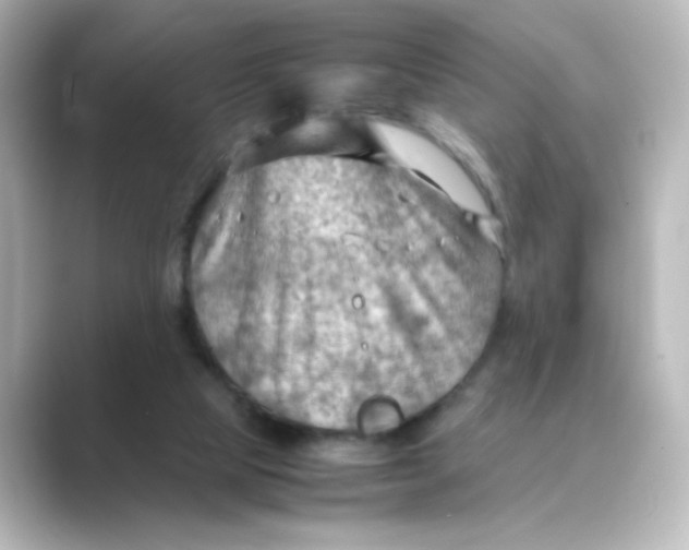 X0000088740065200706212104