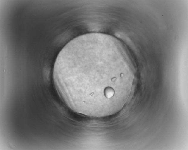 X0000088740066200706212104