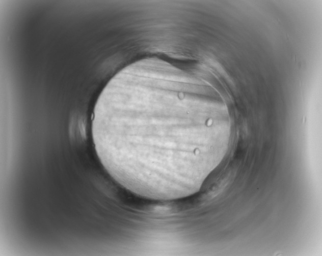 X0000088740068200706212104